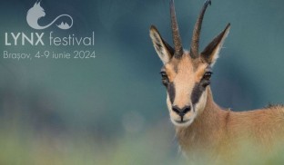 Cactus Hotel este câștigătorul celei de-a doua ediții a LYNX Festival