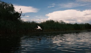 Expoziția „Între Ape (Waters of in-betweenness)” debutează la House of European Institutes Timișoara cu o serie impresionantă de evenimente culturale