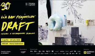 Lia și Dan Perjovschi, expoziție retrospectivă comună