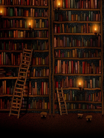 biblioteca3