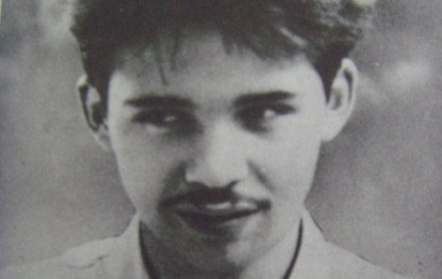 nicolae labis