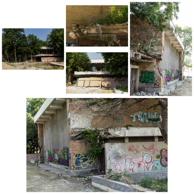 PicMonkey Collage
