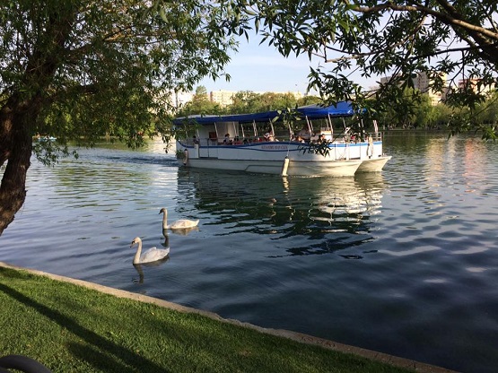 La plimbare cu vaporașul pe lacul din parcul „Alexandru Ioan Cuza”